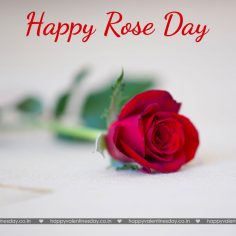 Rose Day – free greetings