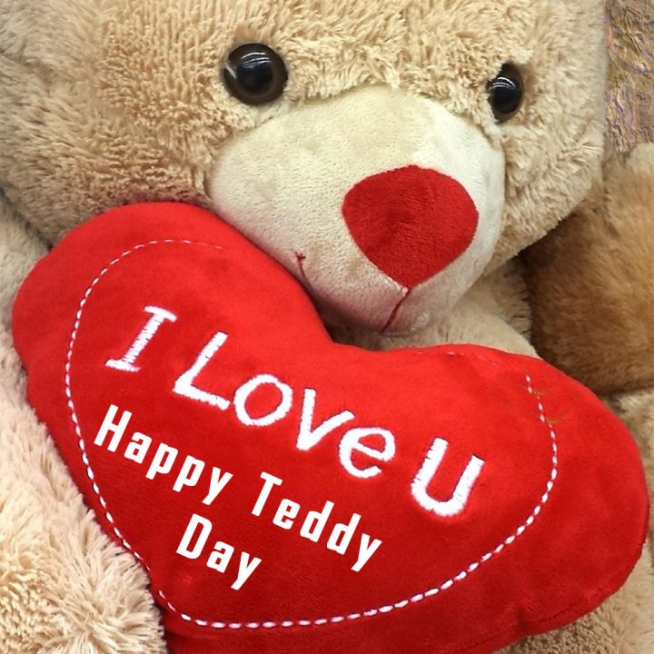 Teddy Day