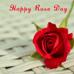 Rose Day – free electronic cards