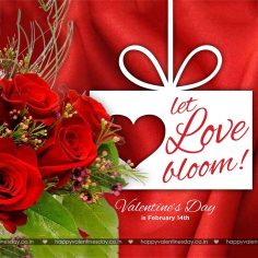 Valentine Day Messages – free online ecards