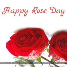 Rose Day – sexy happy valentines day