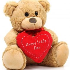 Teddy Day