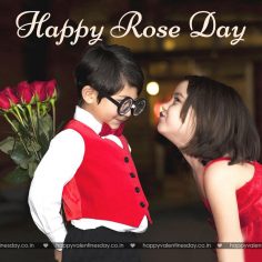 Rose Day – valentine day facts