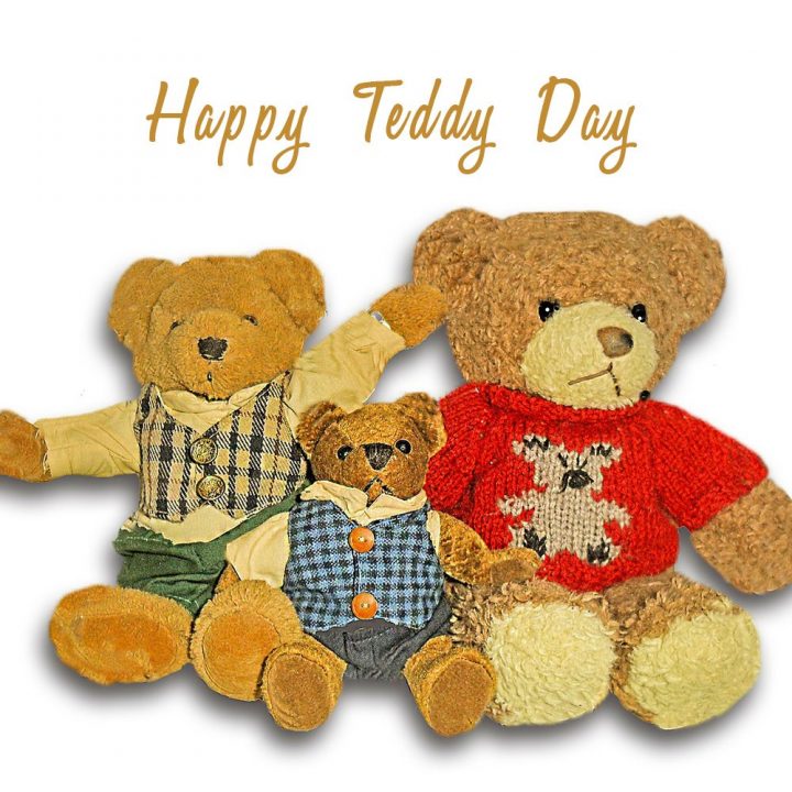 Teddy Day