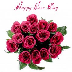 Rose Day – happy valentines day words