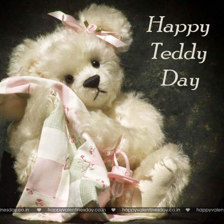 Teddy Day