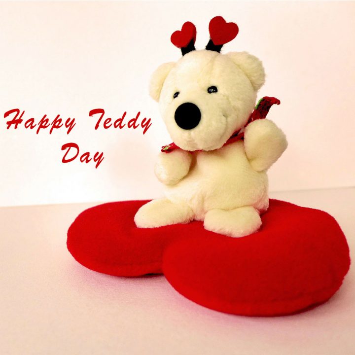 Teddy Day