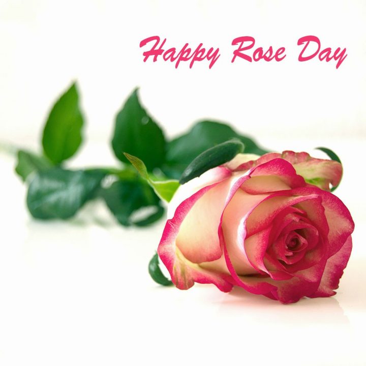 Rose Day