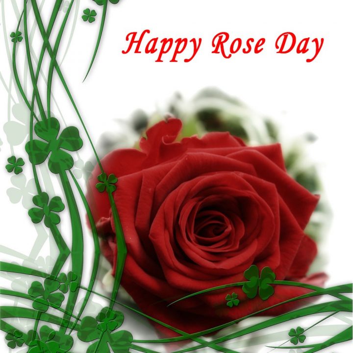 Rose Day – free valentine day cards