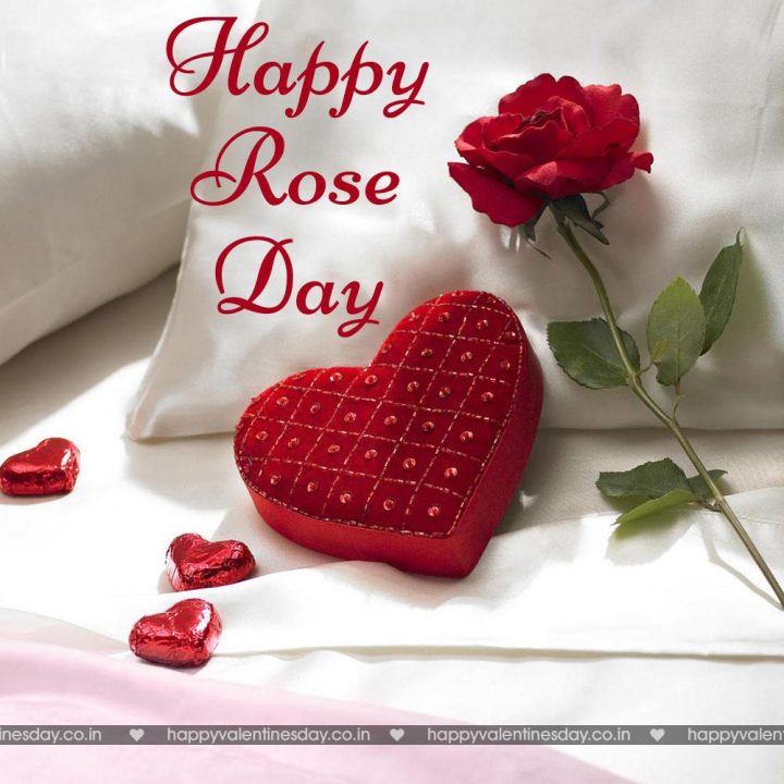 Rose Day – free online ecards