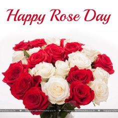 Rose Day – animated ecards