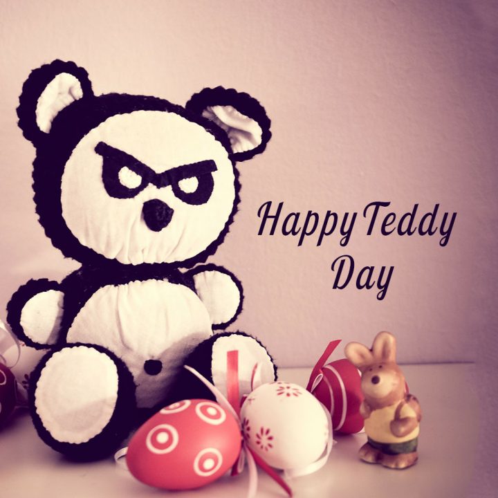 Teddy Day