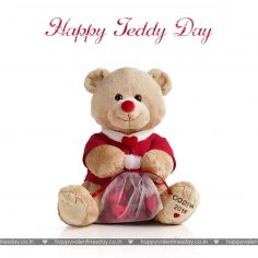 Teddy Day