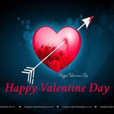 Valentine Day Messages – funny ecards