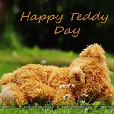 Teddy Day