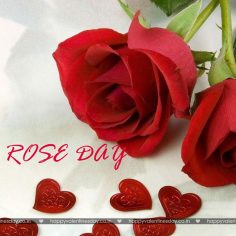 Rose Day – funny free ecards