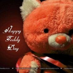 Teddy Day