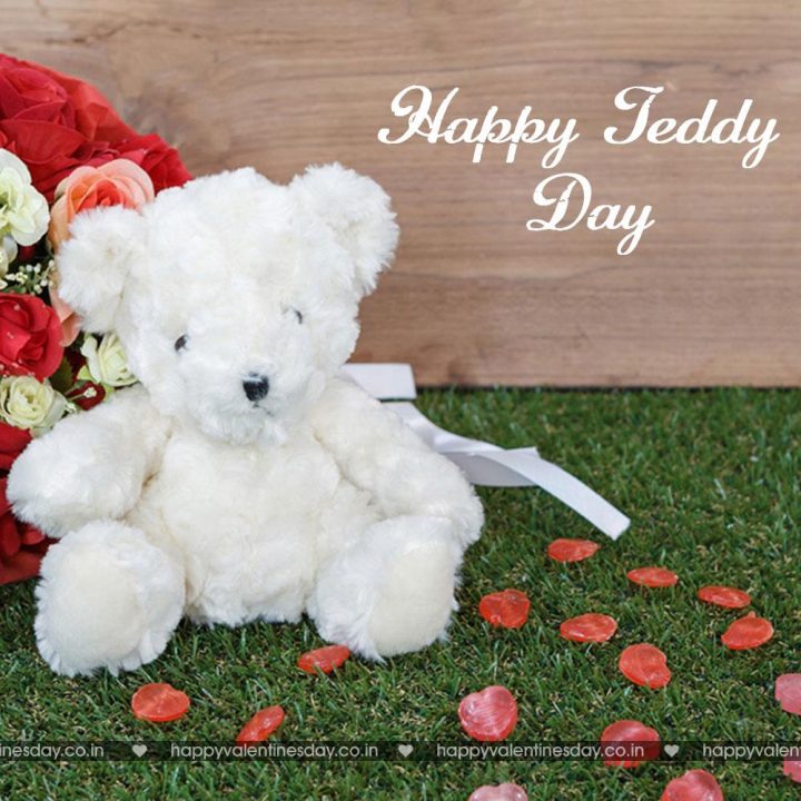 Teddy Day