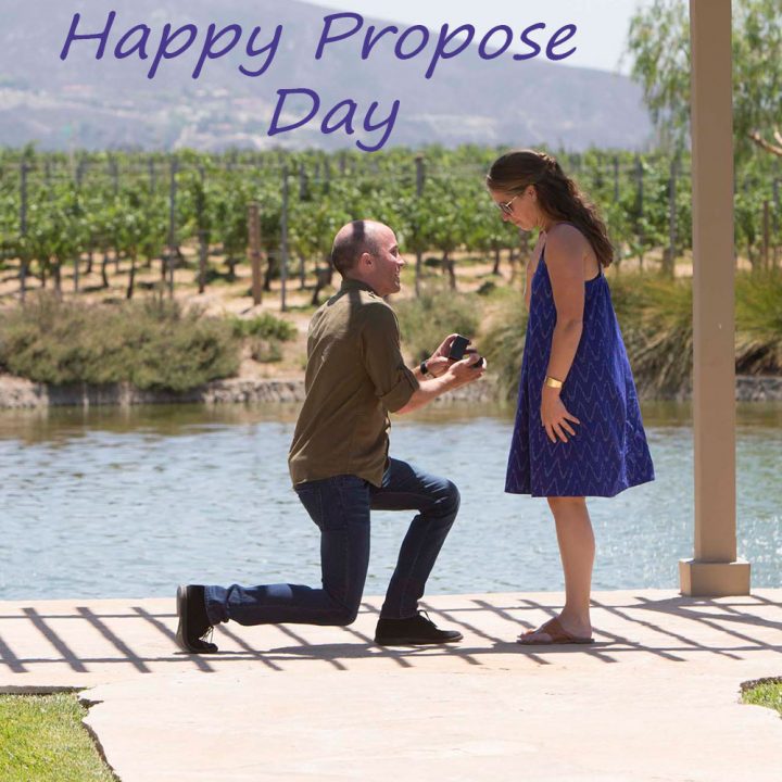 Propose Day