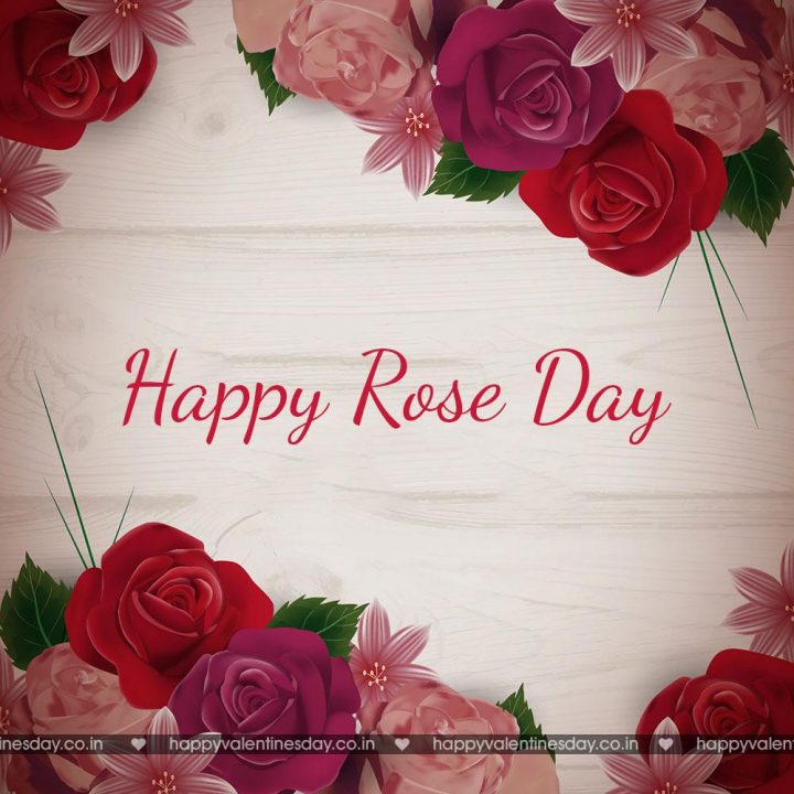 Rose Day – happy valentines day sign