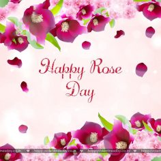 Rose Day – valentines day pictures images photos