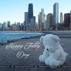 Teddy Day