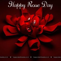 Rose Day – valentines day greetings quotes