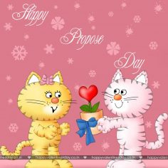 Propose Day – happy valentines day cat