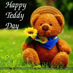 Teddy Day – happy valentines day greeting cards