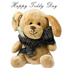 Teddy Day