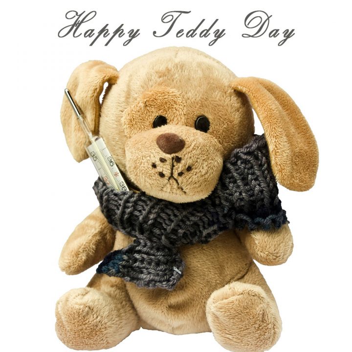 Teddy Day