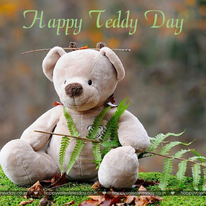 Teddy Day – happy valentine day my love