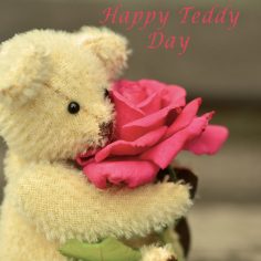 Teddy Day