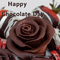 Chocolate Day – happy valentines day jokes
