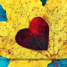 Love Messages – happy valentines day wishes