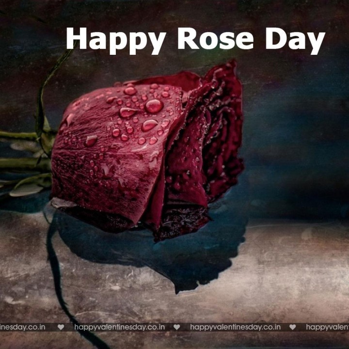 Rose Day – free valentines day cards