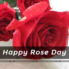 Rose Day