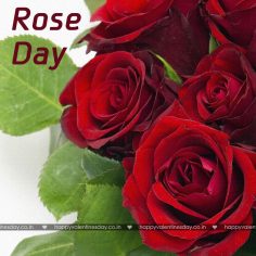 Rose Day