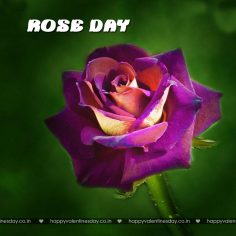 Rose Day – send cards online