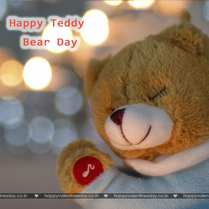 Teddy Day Valentine 118