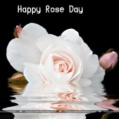 Rose Day – happy valentines day best friend