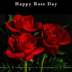 Rose Day – new year greetings