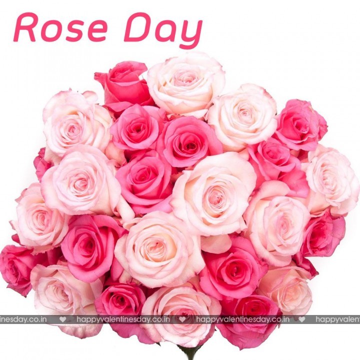 Rose Day