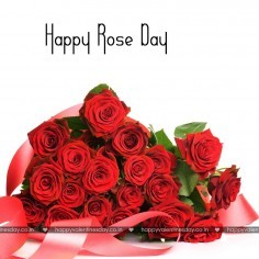Rose Day