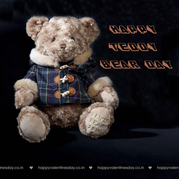 Teddy Day Valentine 115