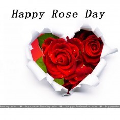Rose Day