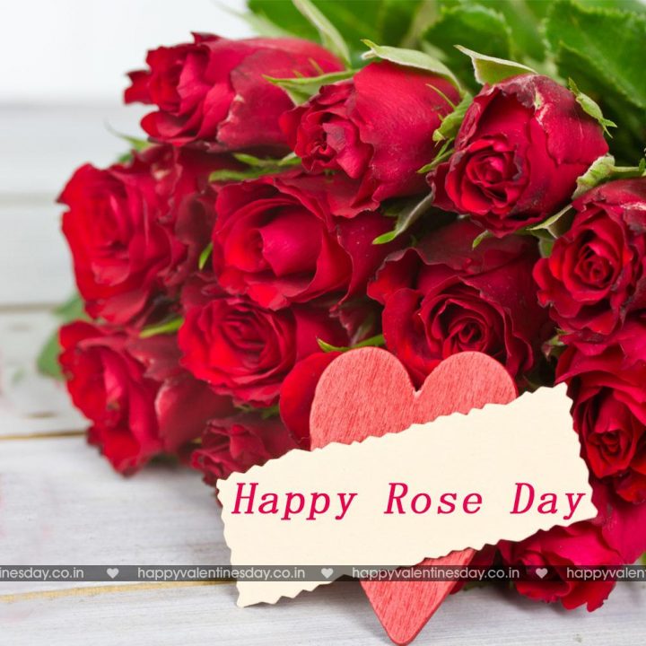 Rose Day
