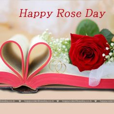 Rose Day