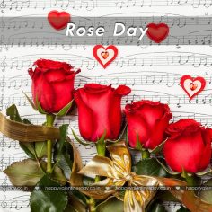 Rose Day