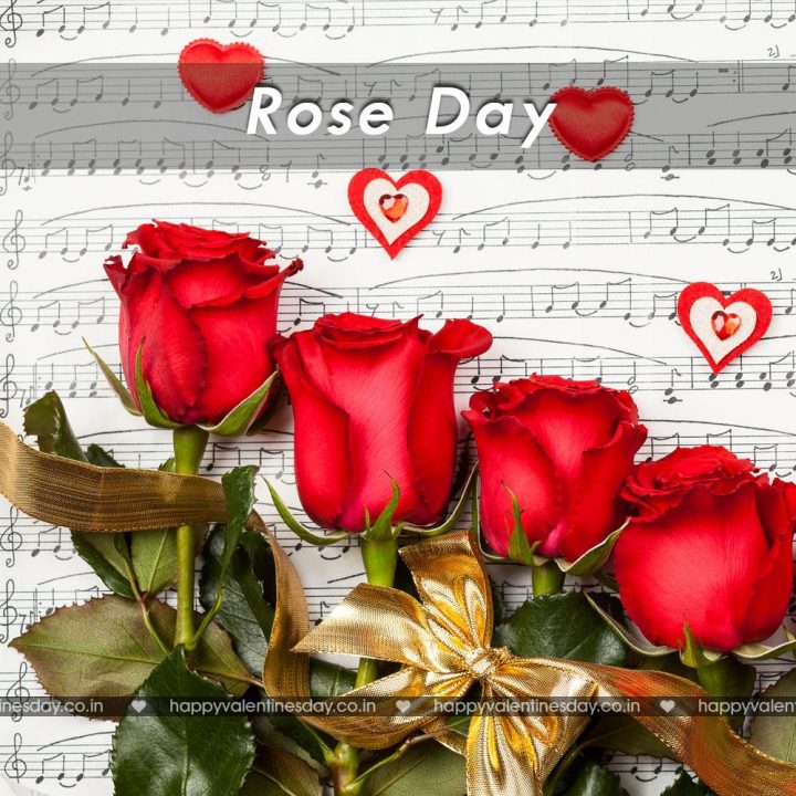 Rose Day